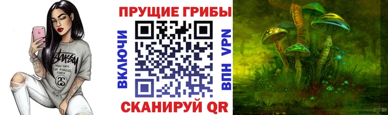 Псилоцибиновые грибы Psilocybe  Мамадыш 